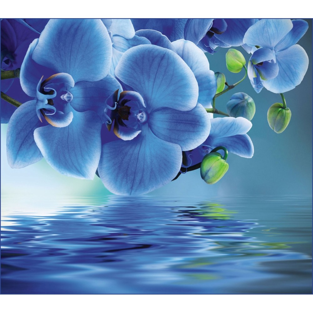 Фотообои Delice Decor Голубая орхидея (300x270)